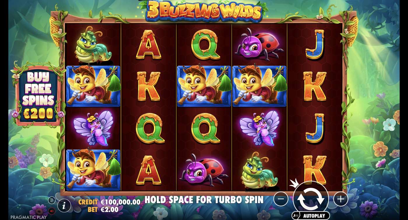 3 Buzzing Wilds: image of main menu