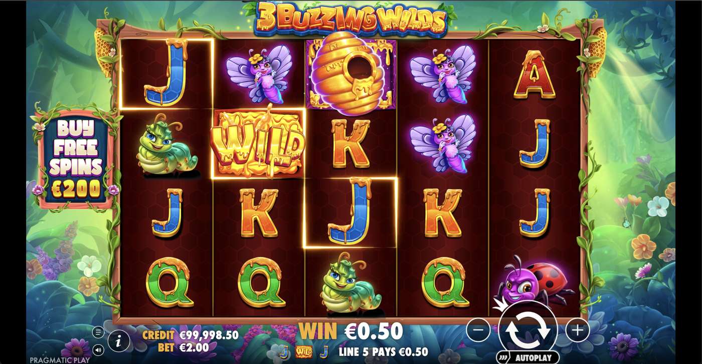 3 Buzzing Wilds: image of winning