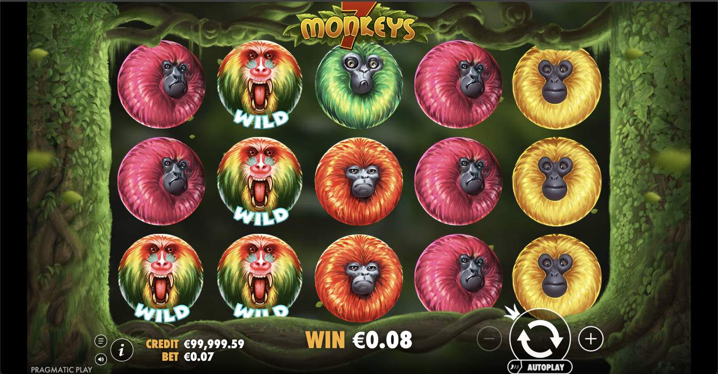 7 Monkeys: image of winning