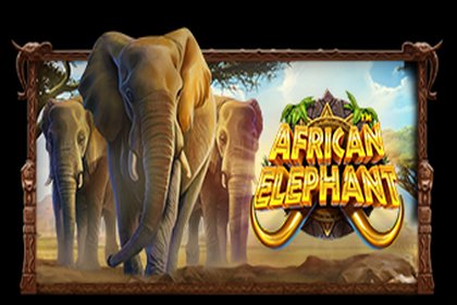 African Elephant Online Slot Logo