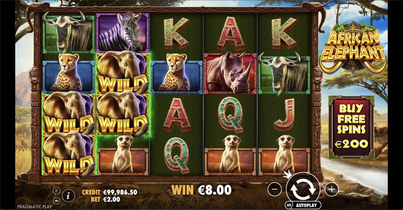 African Elephant: image of winning