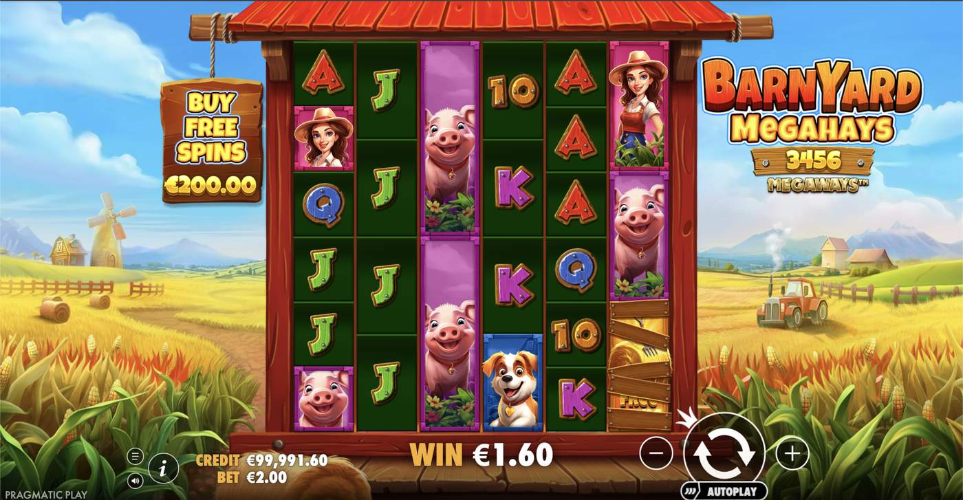 Barnyard Megahays Megaways: image of winning
