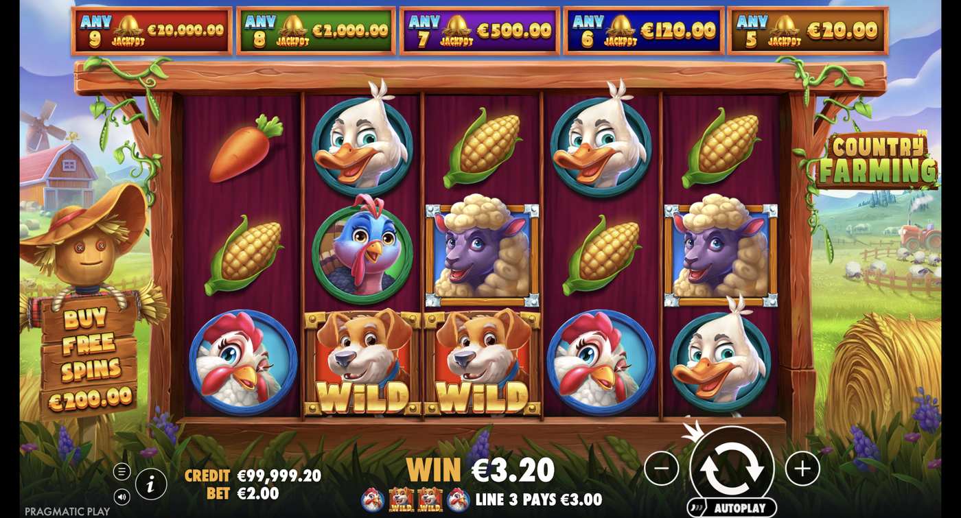 Country Farming: image of winning