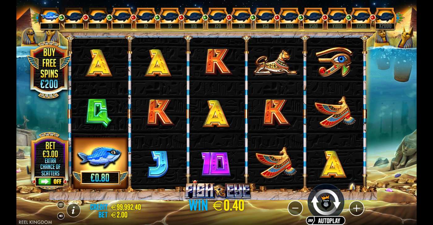 Fish Eye: image of winning