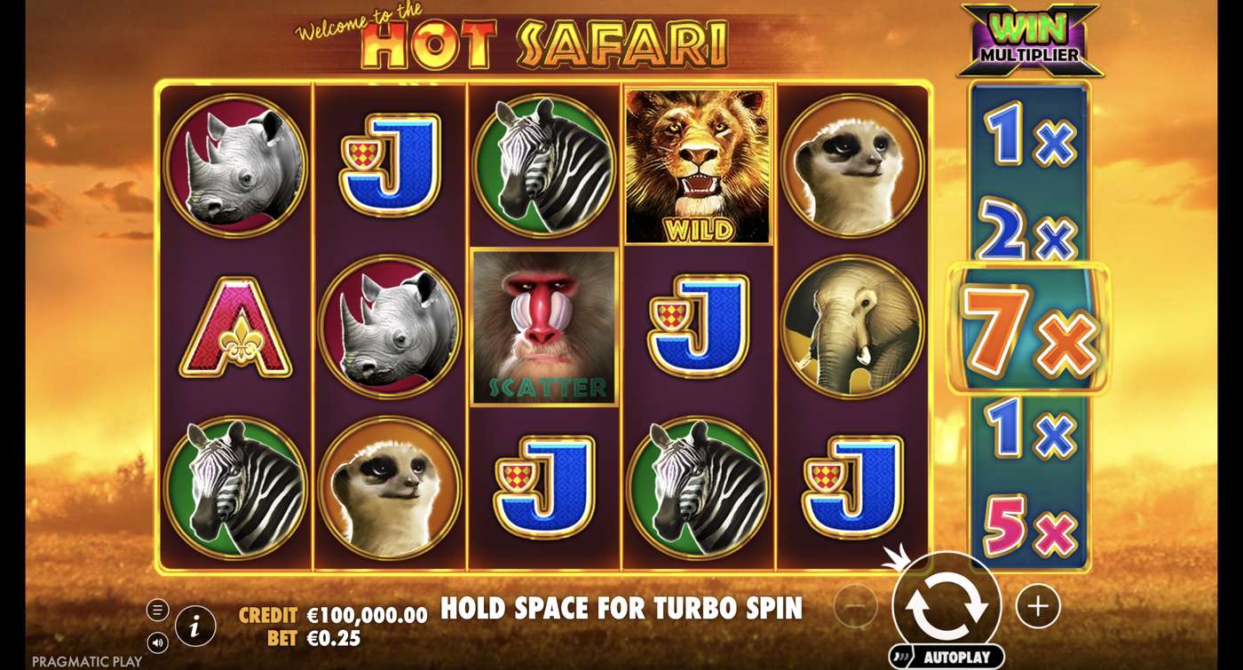 Hot Safari: image of main menu