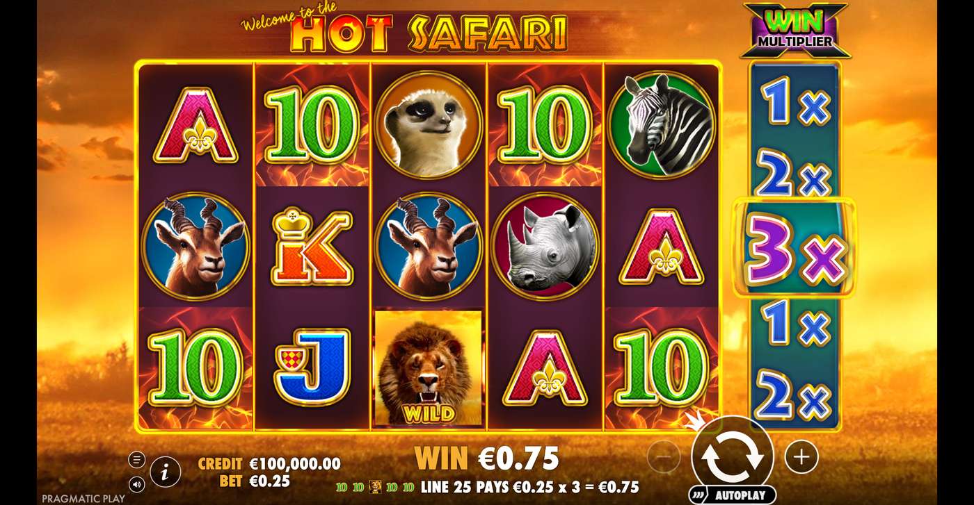 Hot Safari: image of winning