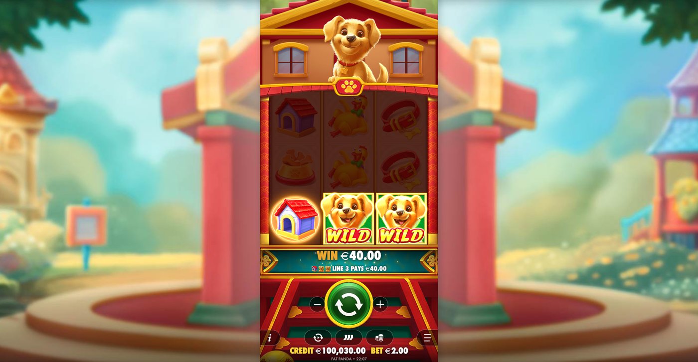 Lucky Dog: image of winning