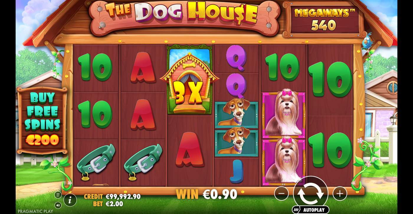 The Dog House Megaways: image of winning