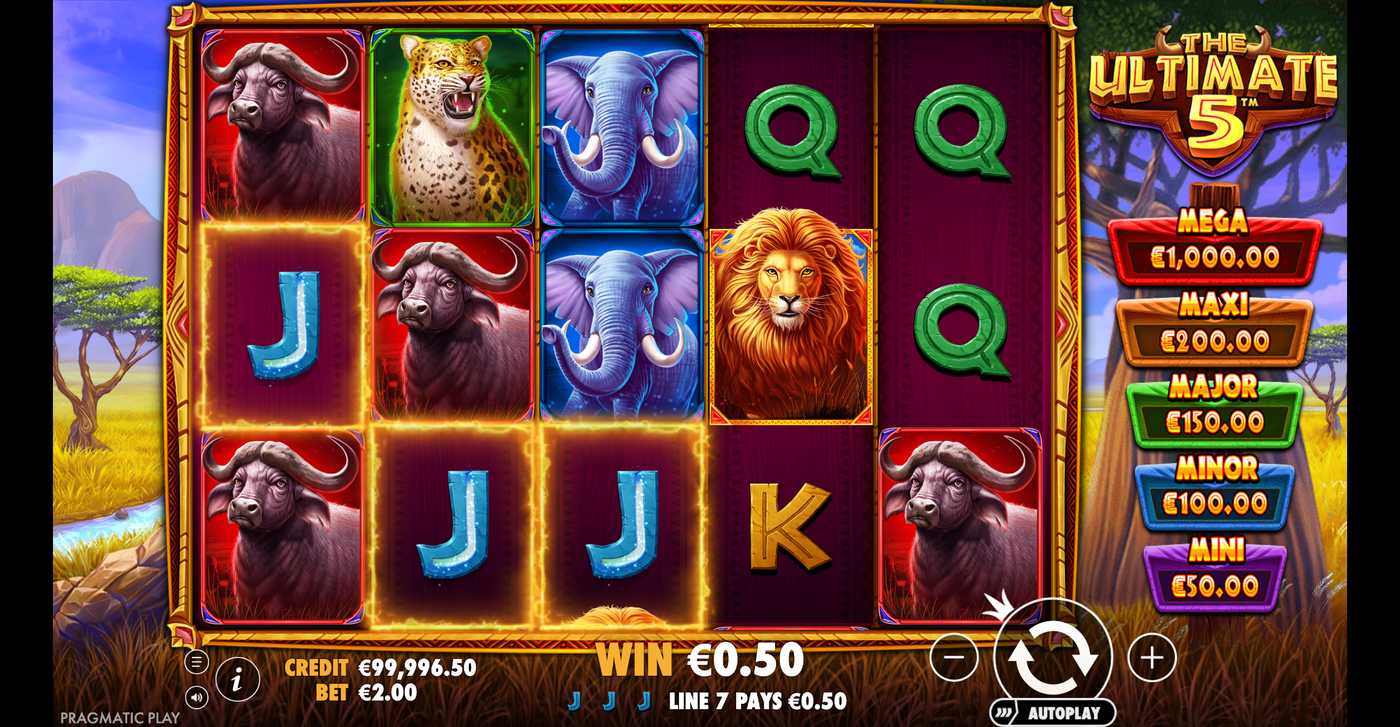 The Ultimate 5: image of winning