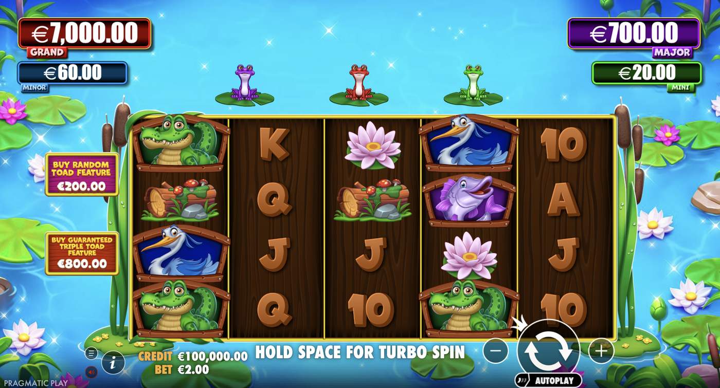 Tiny Toads: image of main menu