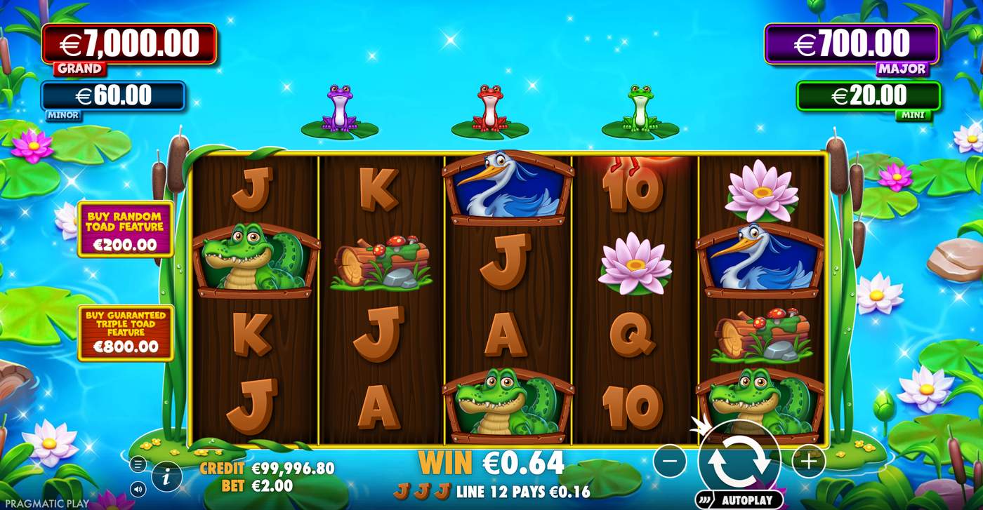 Tiny Toads: image of winning
