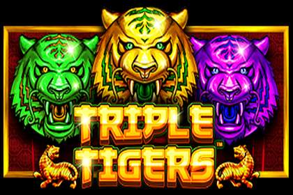 Triple Tigers Online Slot Logo