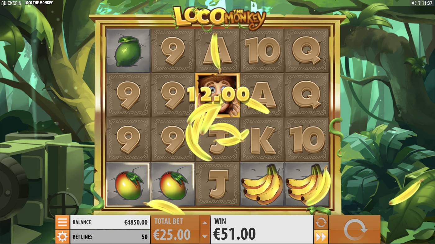 Loco the Monkey: image of winning