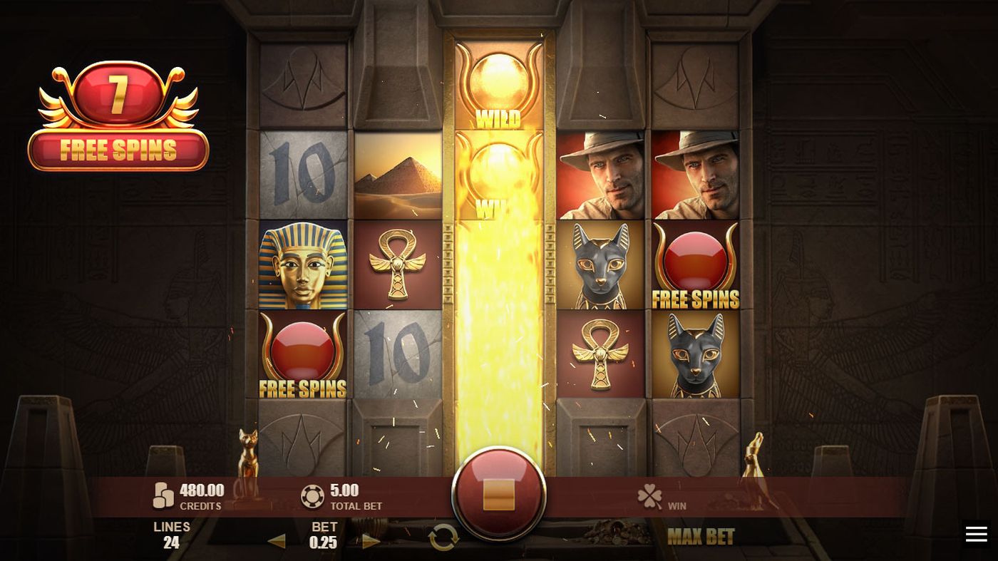 Reel of Riches: image of winning