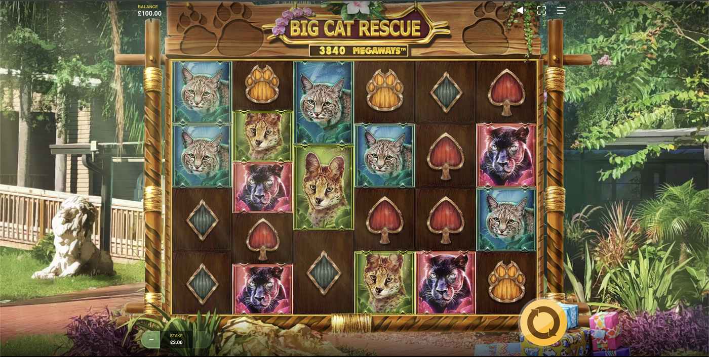 Big Cat Rescue Megaways: image of main menu