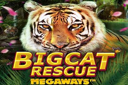 Big Cat Rescue Megaways Online Slot Logo