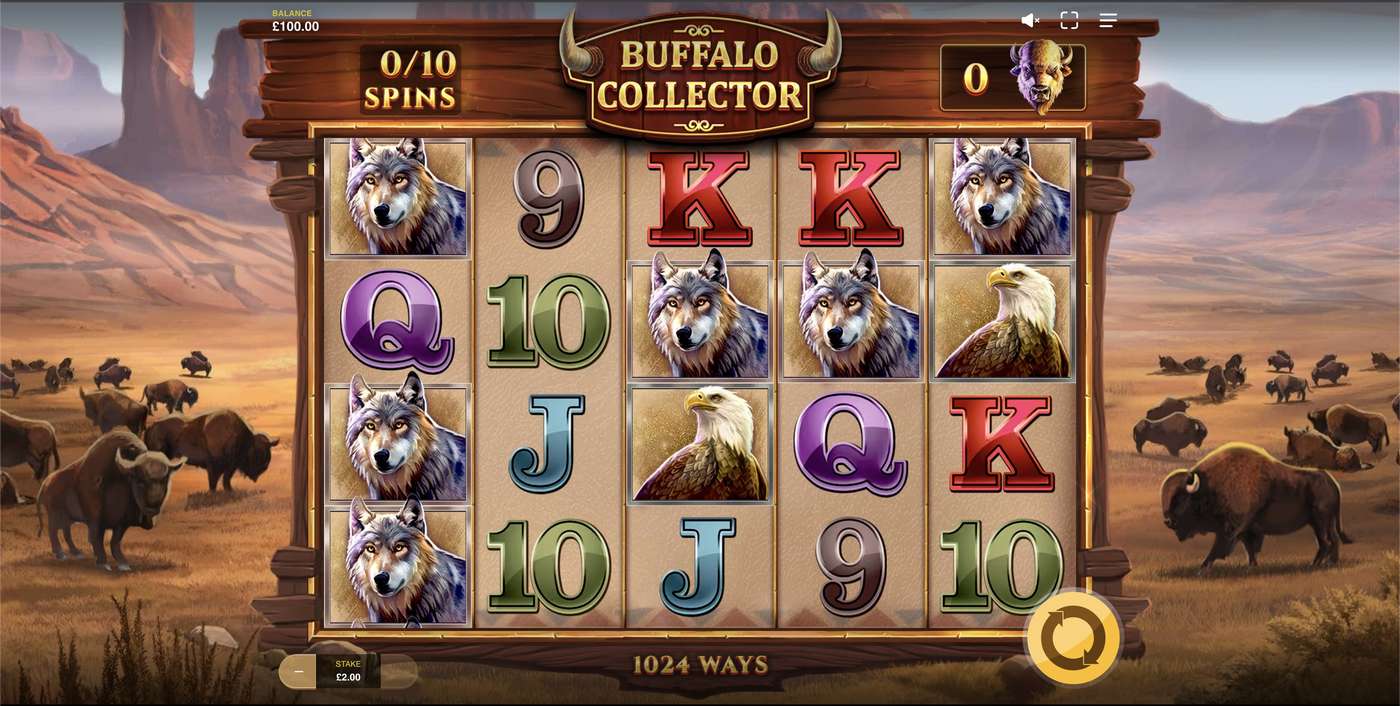 Buffalo Collector: image of main menu