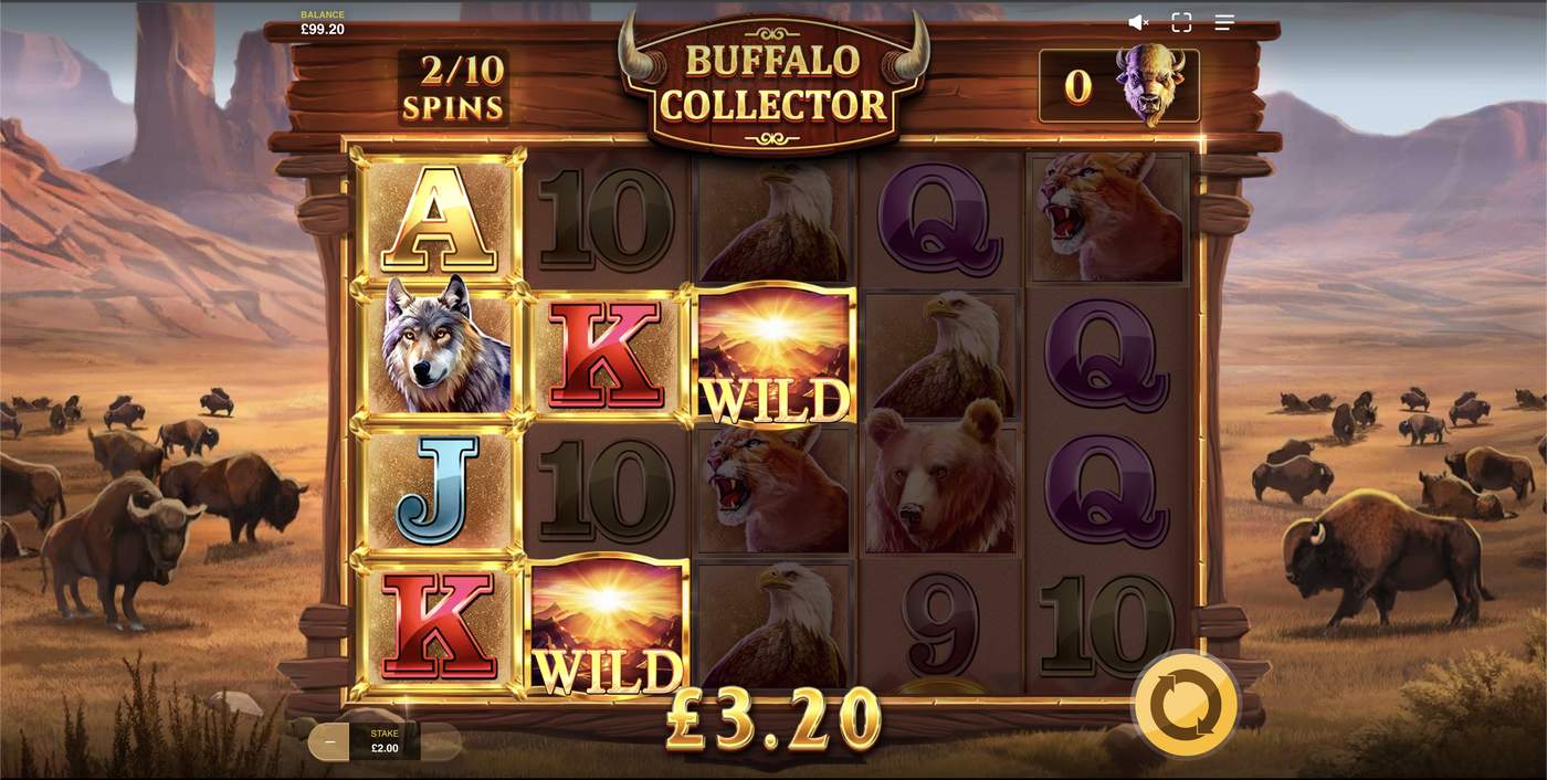 Buffalo Collector: image of winning