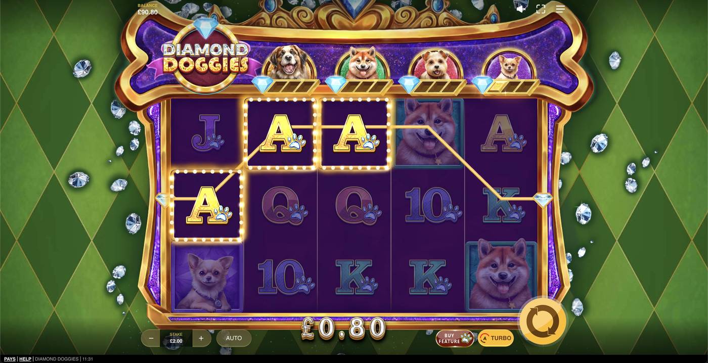 Diamond Doggies: image of winning