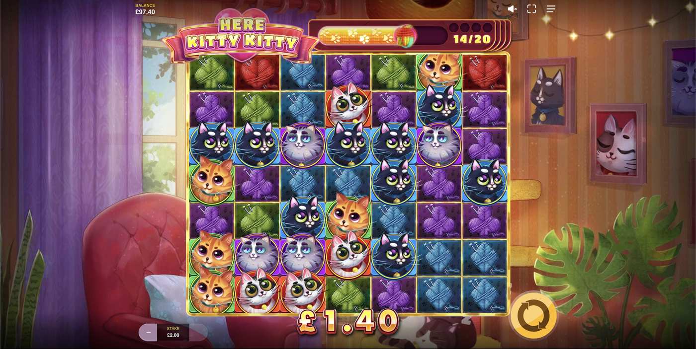Here Kitty Kitty: image of winning