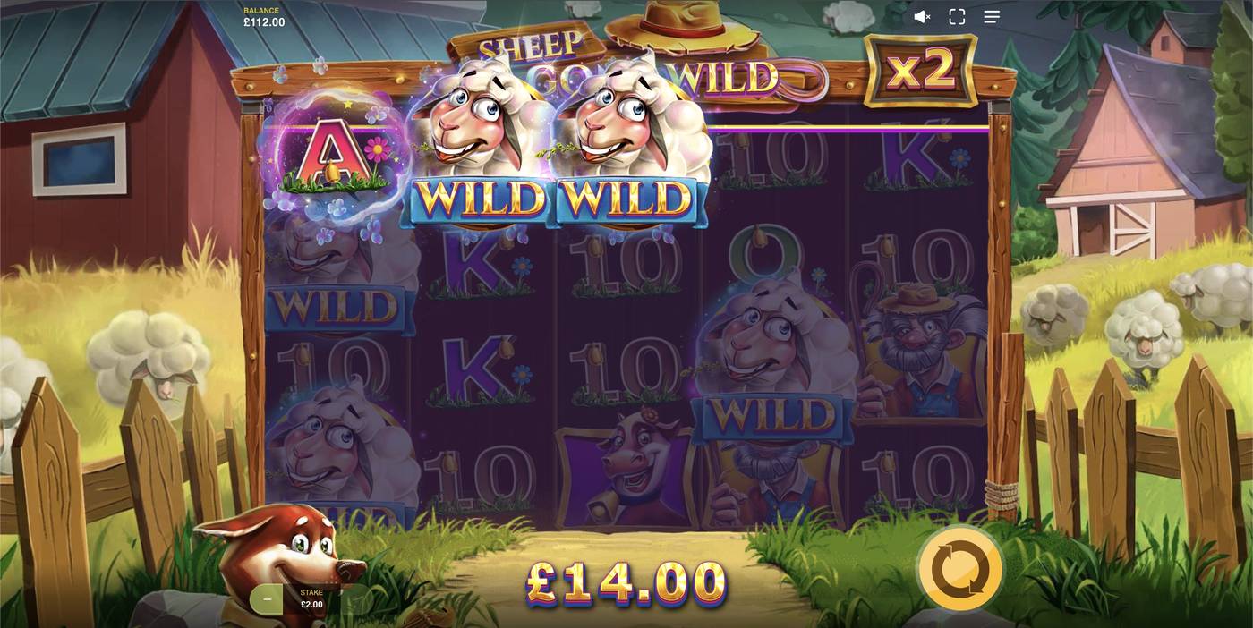 Sheep Gone Wild: image of winning
