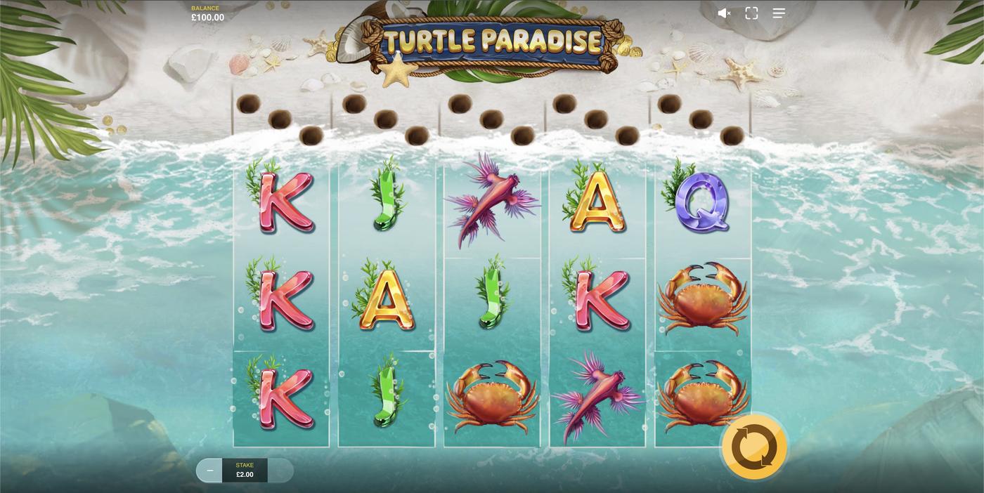 Turtle Paradise: image of main menu