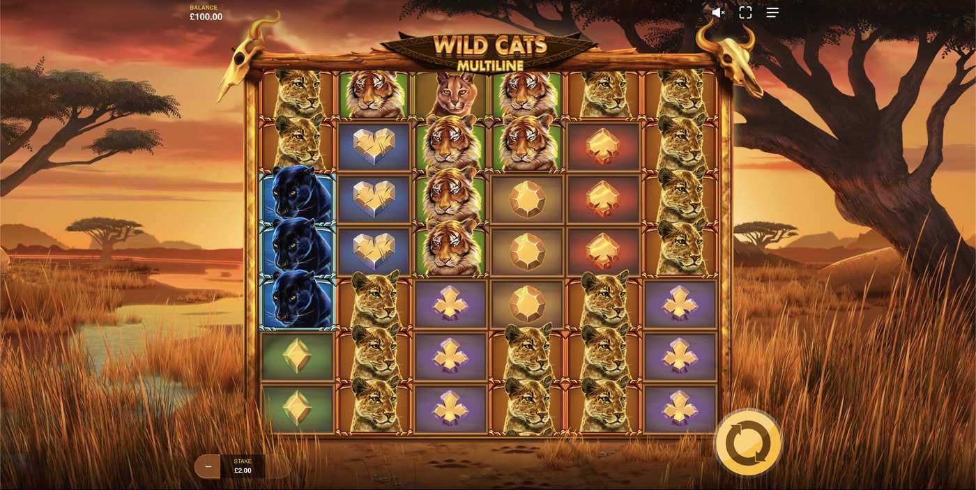 Wild Cats Multiline: image of main menu