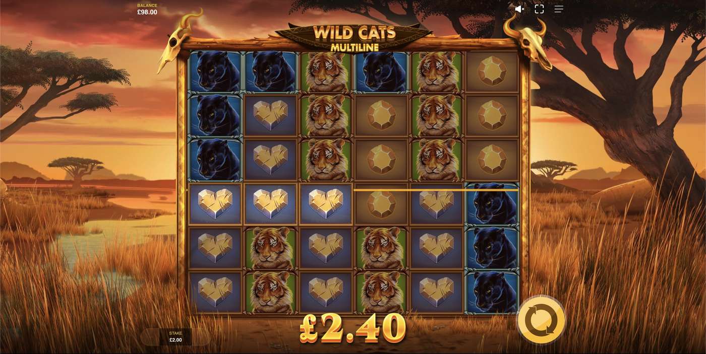 Wild Cats Multiline: image of winning