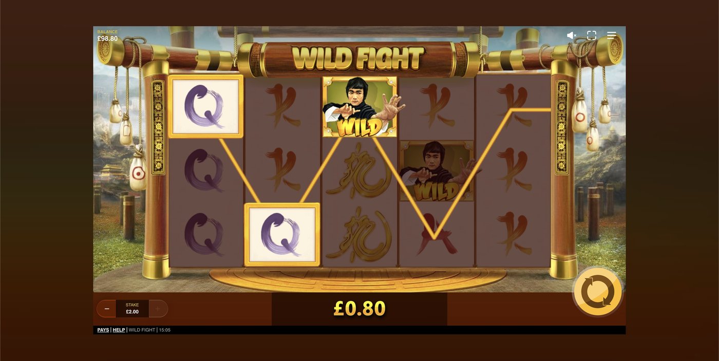 Wild Fight: image of winning
