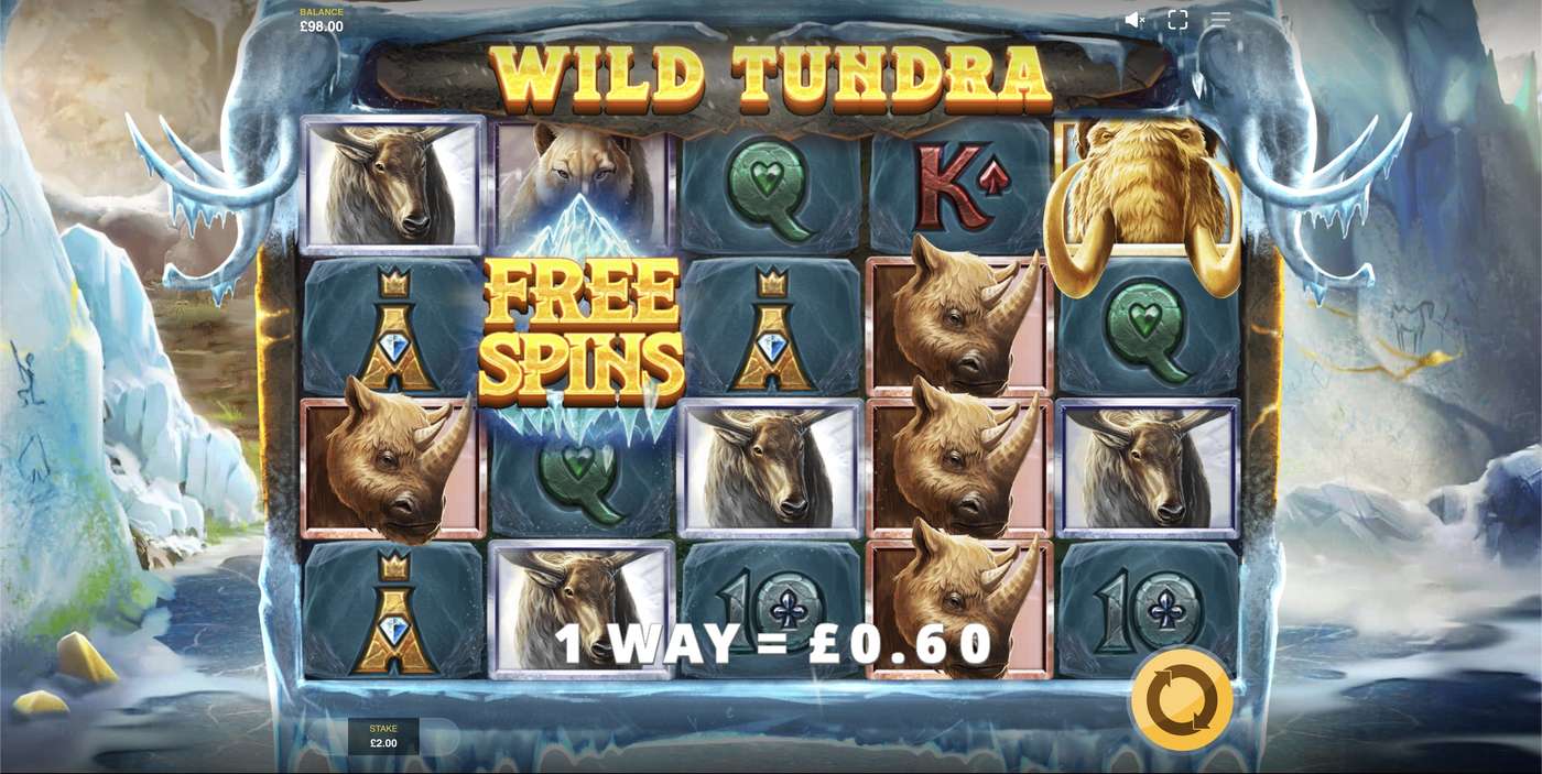 Wild Tundra: image of winning