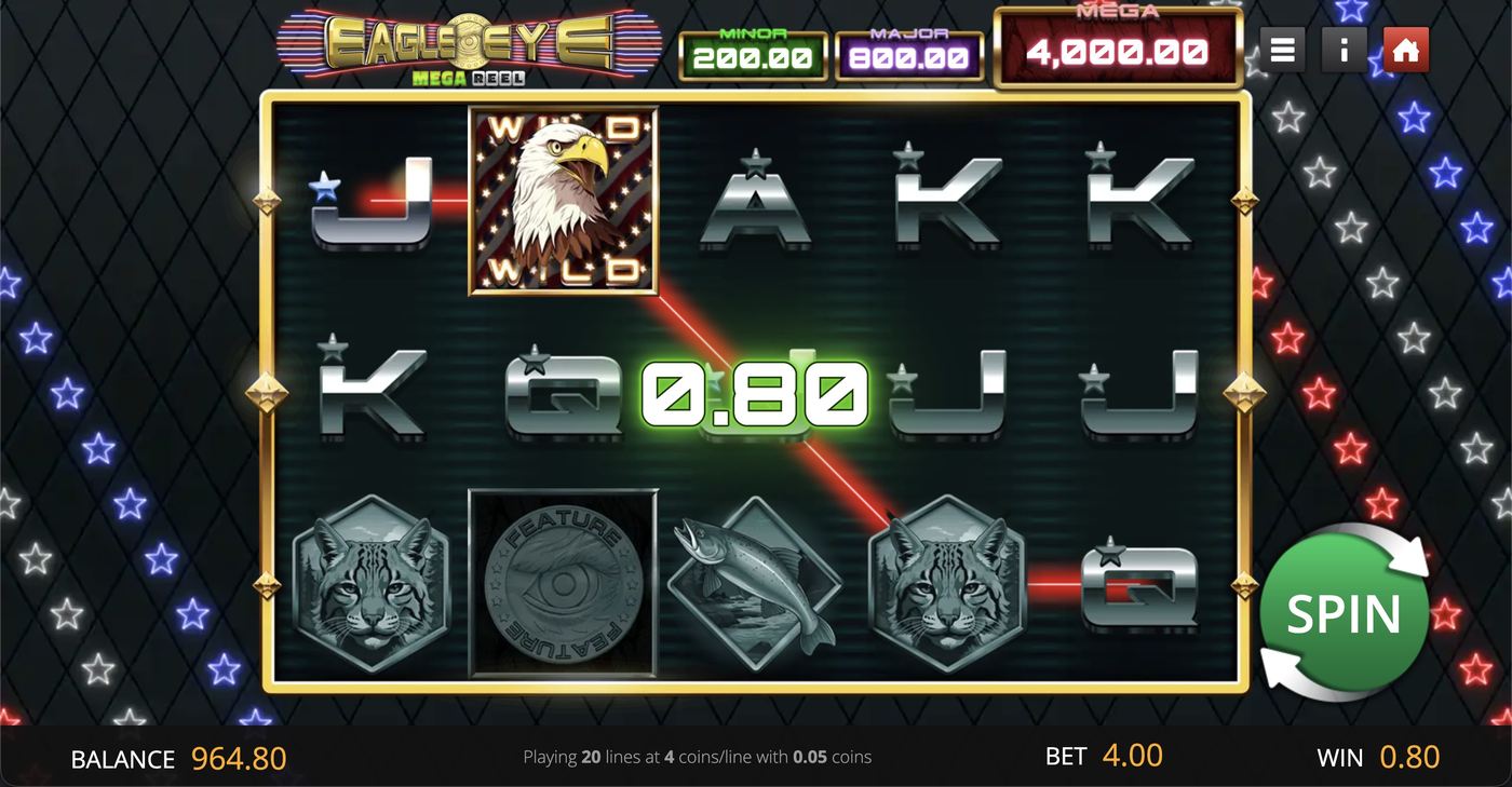 Eagle Eye: image of winning