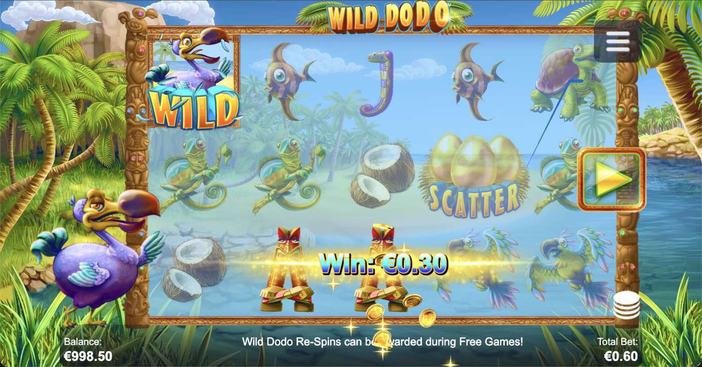 Wild Dodo: image of winning