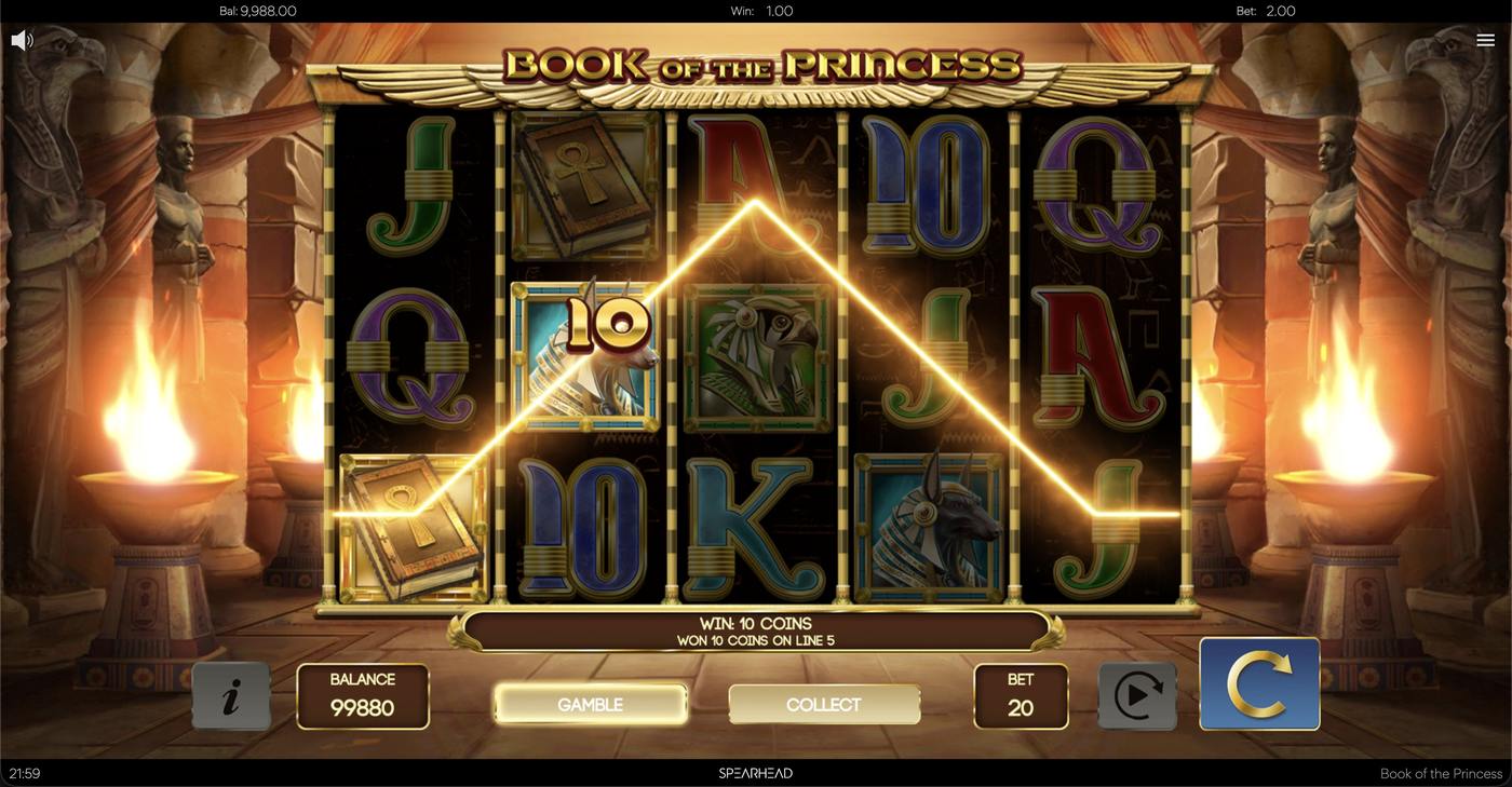 Book of The Princess: image of winning