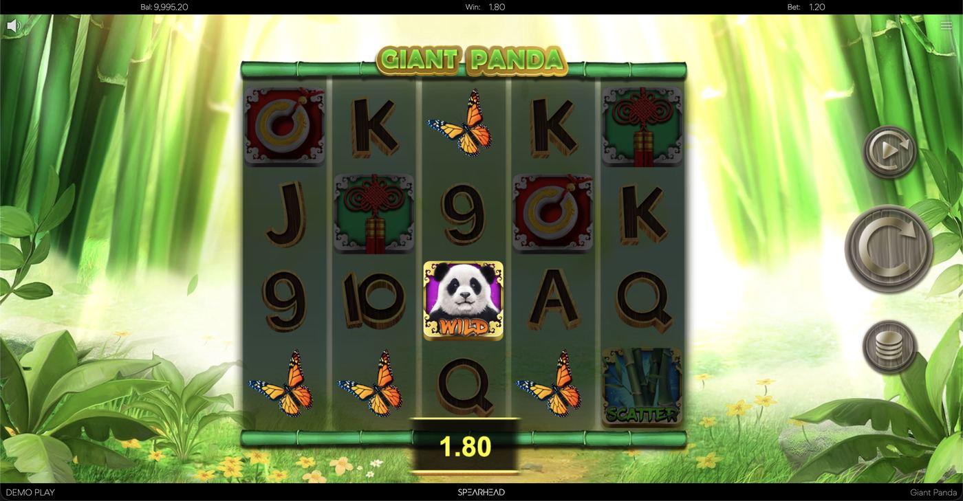 Giant Panda: image of winning