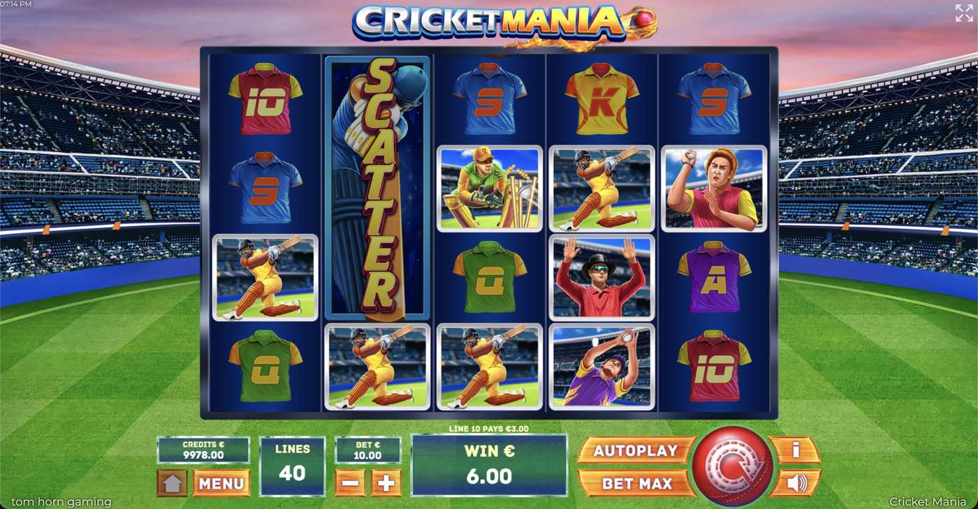 Cricket Mania: image of winning