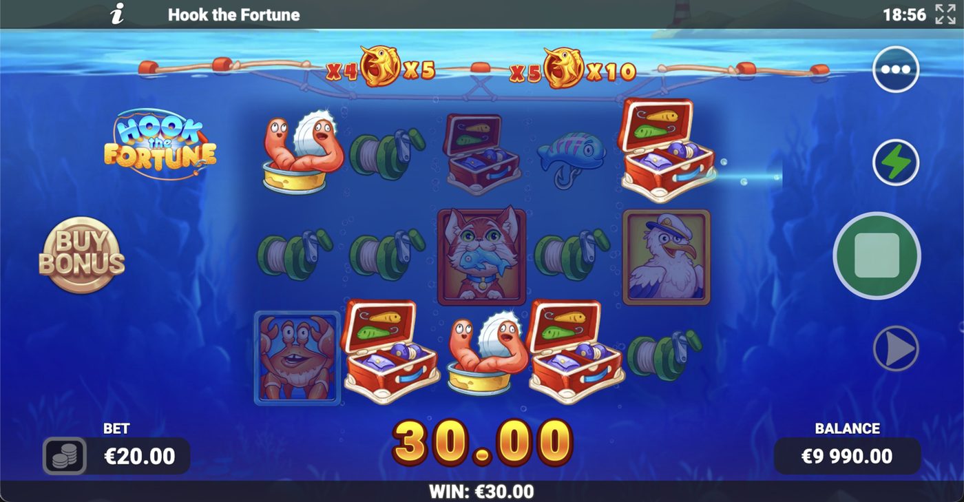 Hook the Fortune: image of winning