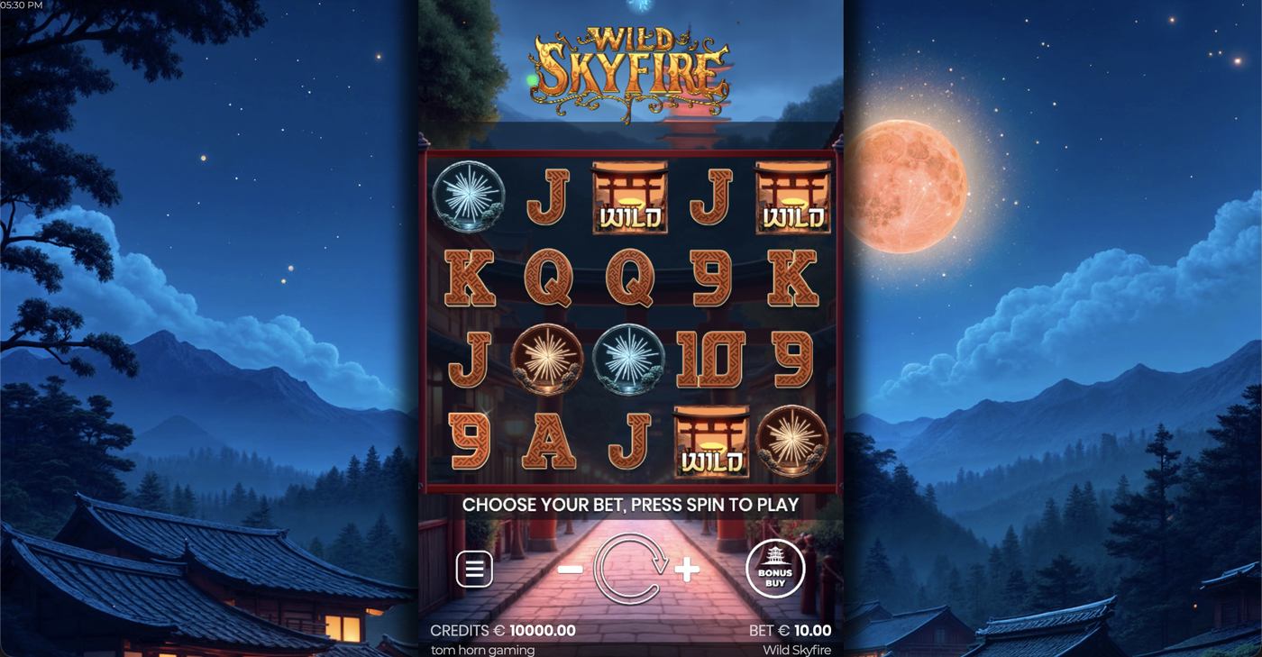 Wild Skyfire: image of main menu
