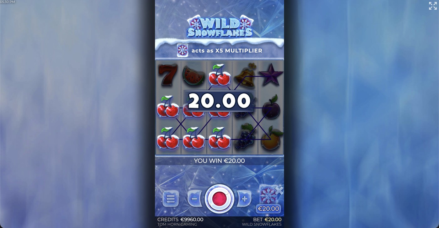 Wild Snowflakes: image of winning