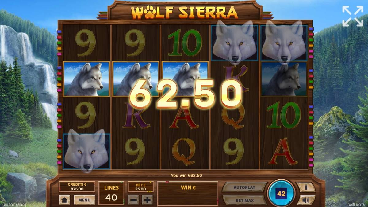 Wolf Sierra: image of winning