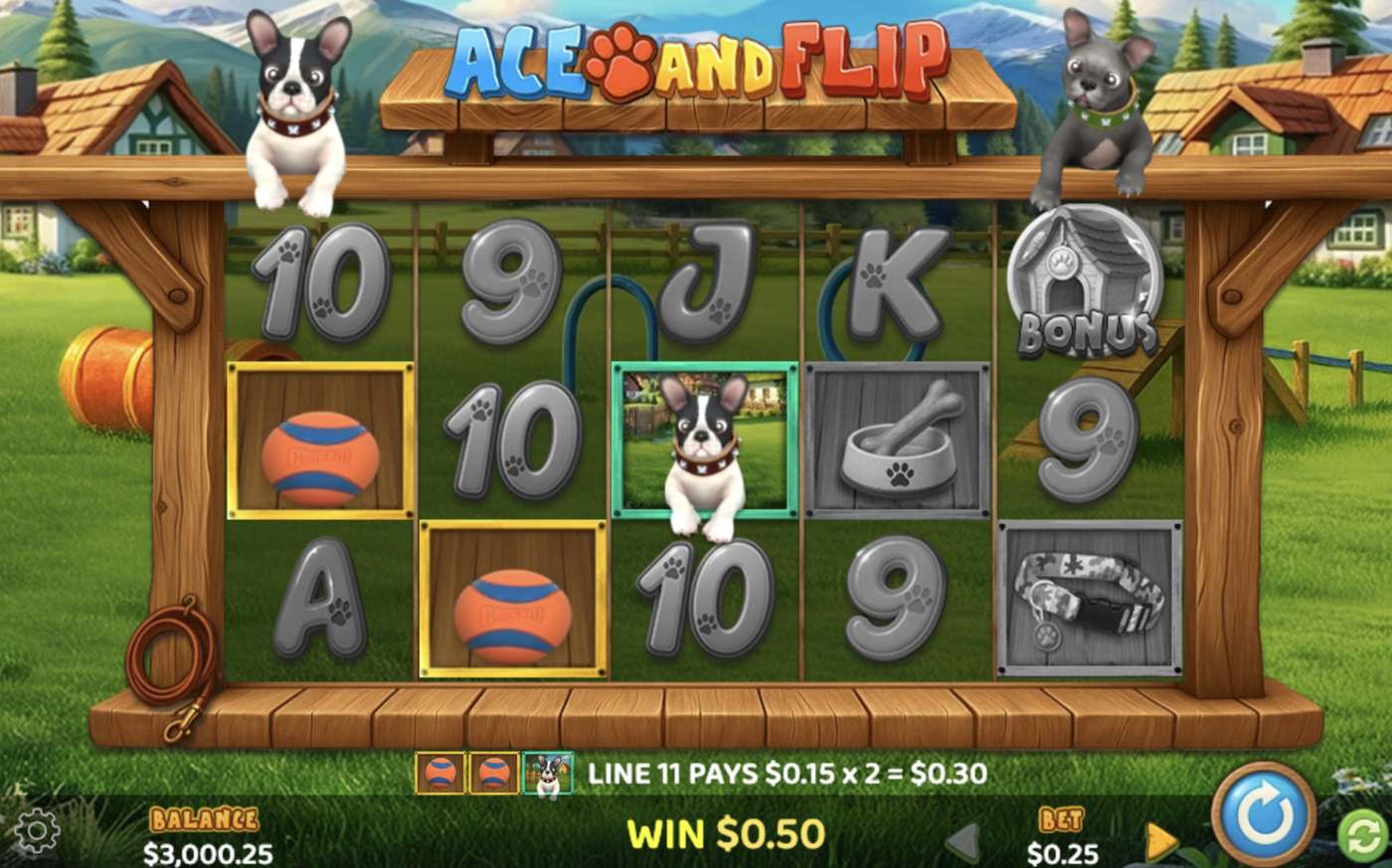 Ace and Flip: image of winning
