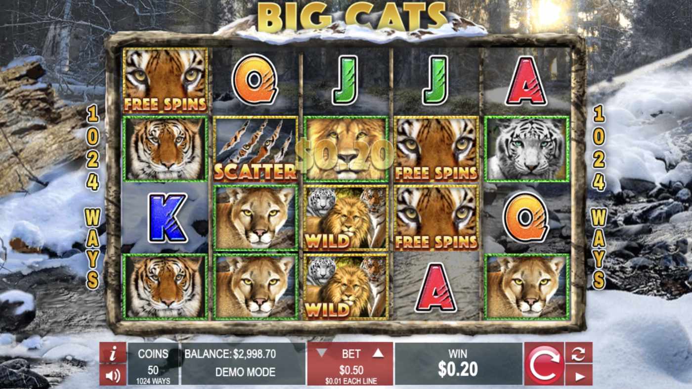 Big Cats: image of winning