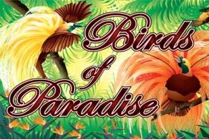 Birds Of Paradise Online Slot Logo