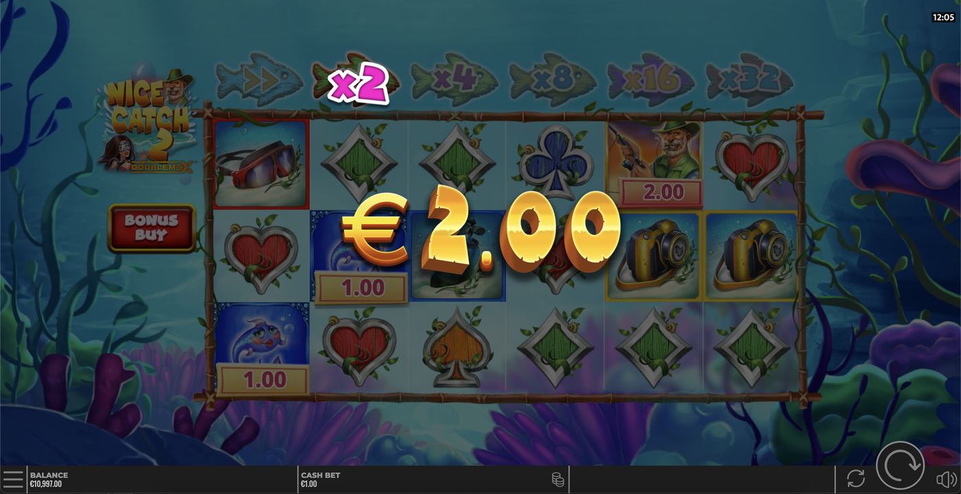 Nice Catch 2 DoubleMax: image of winning