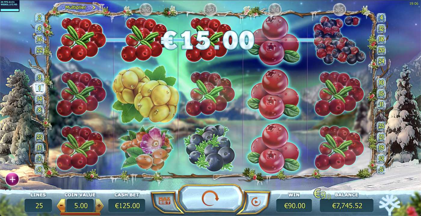 Winterberries: image of winning