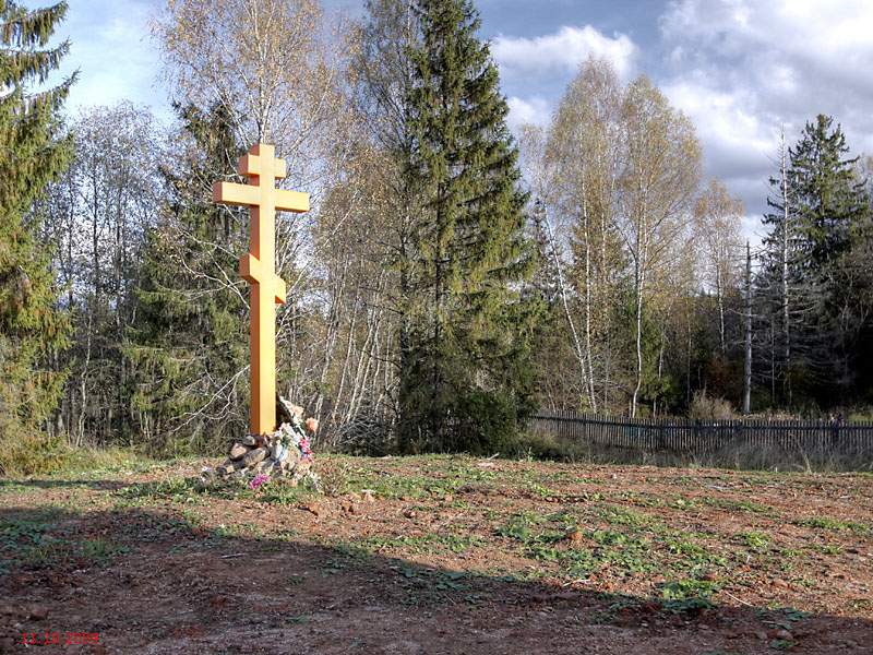 Большая Коша Селижаровский район. Ильинская кладбище в Тверской области. Большая Коша Селижарово. Урочища Селижаровского района.