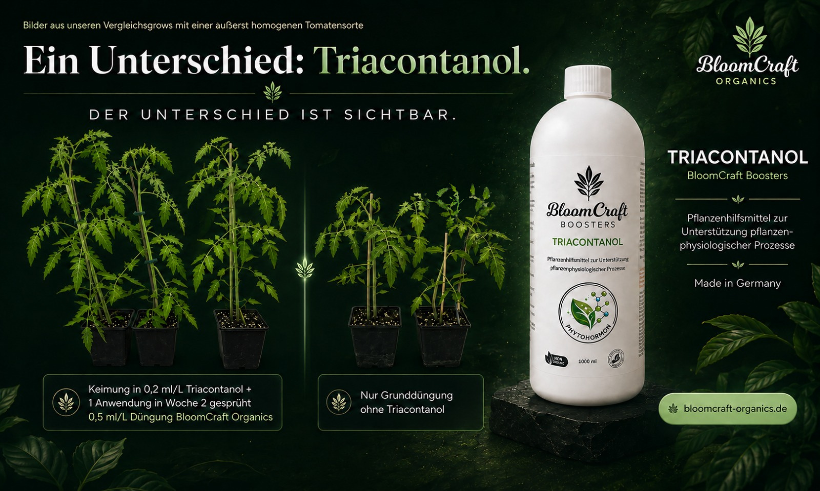 Triacontanol im Fokus: Was steckt hinter unserem Wachstumsbooster?