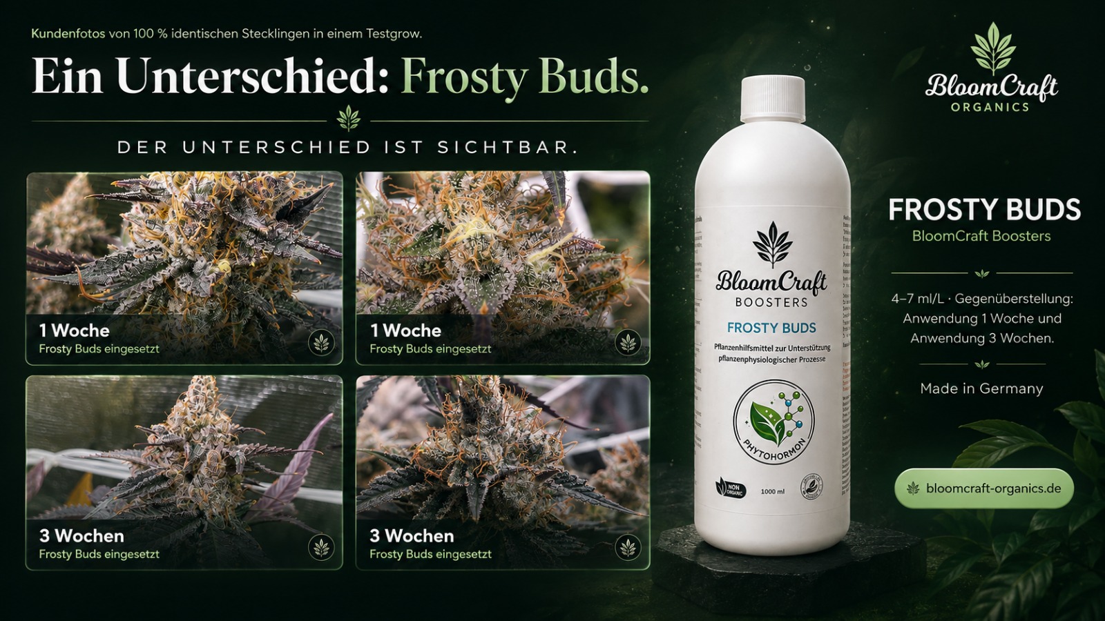 Frosty Buds im Fokus: Gesünderes Wachstum und Hochleistungs-Blütebooster für die letzten Wochen