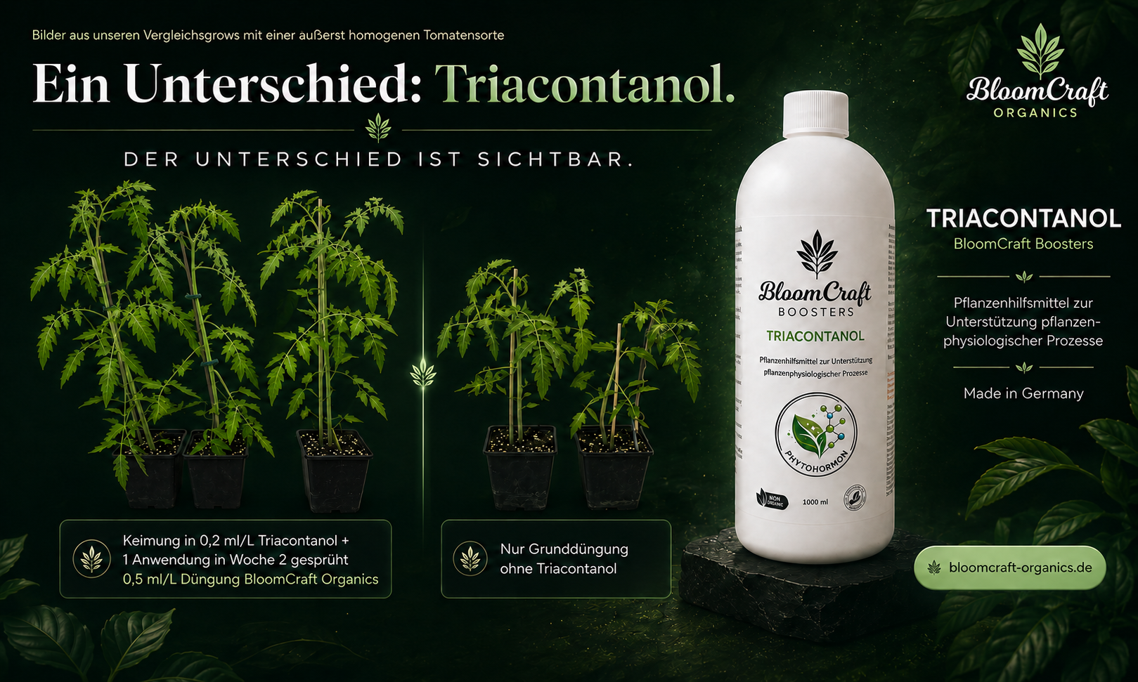 Vergleichsgrow mit und ohne Triacontanol