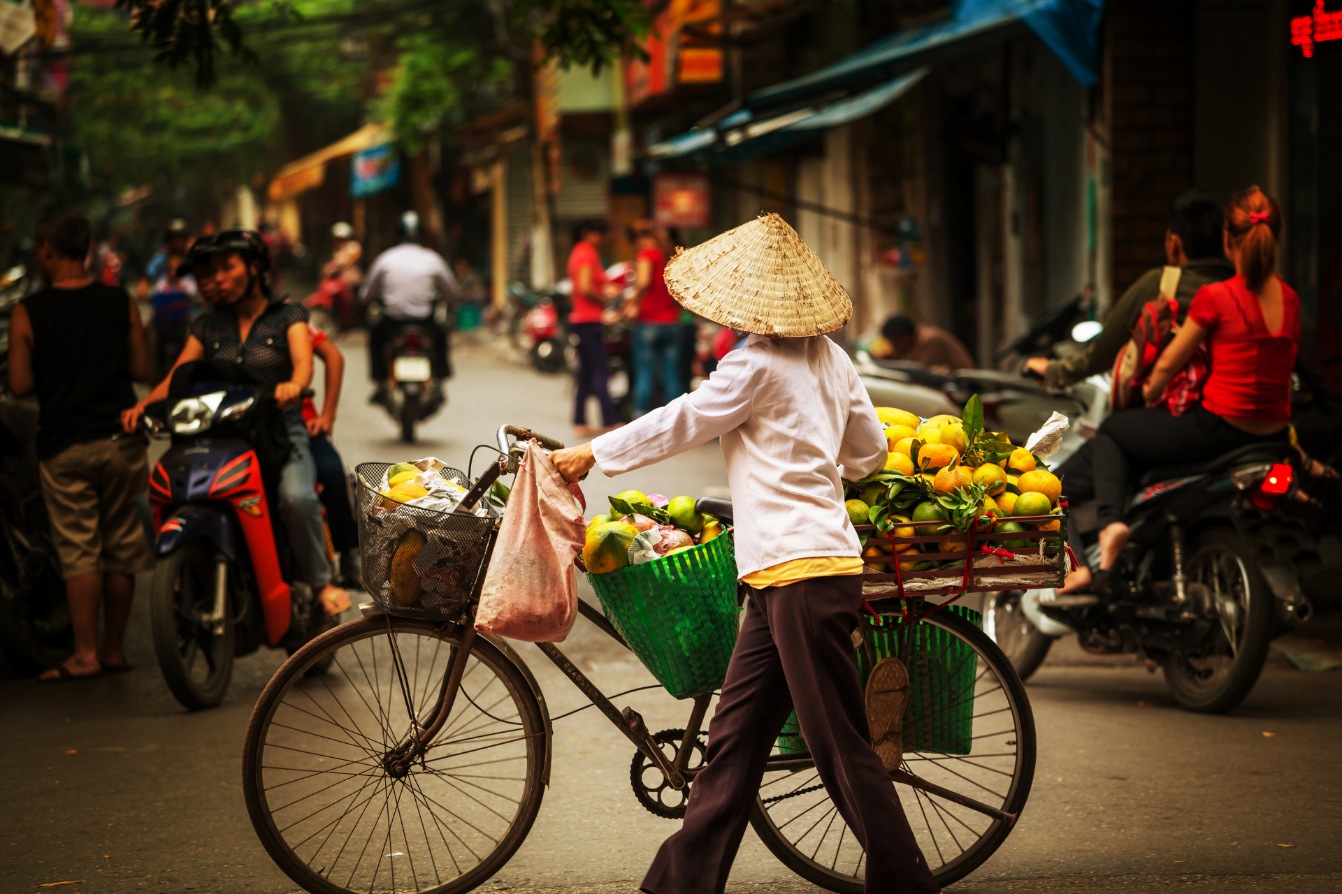 Vietnam e-Visa