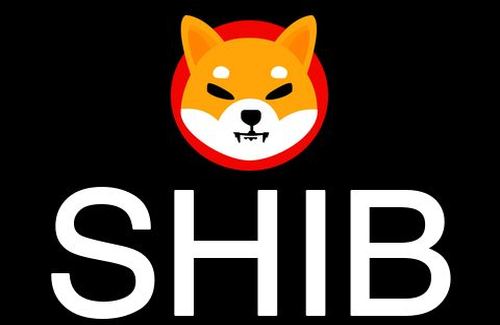 ShibaInu